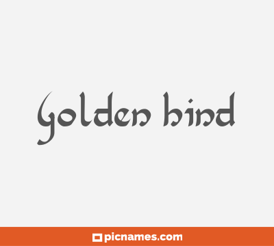 Golden Hind